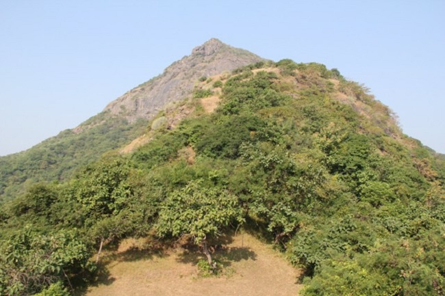 Junagadh lili parikrama at feet of Mount Girnar