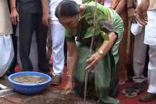 Anandiben planting at 65th Van Mahotsavin Rajkot