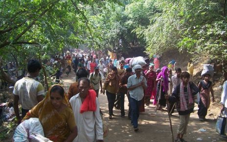 Junagadh lili parikrama