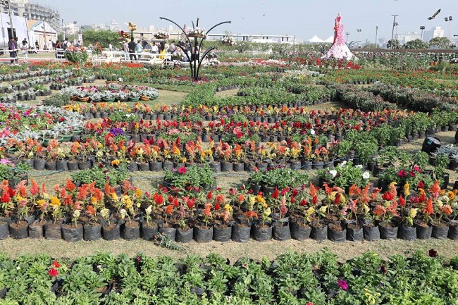 ahmedabad flower show 2017