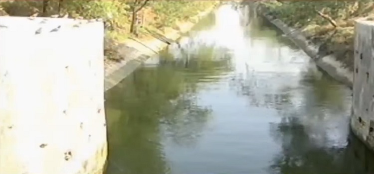 fatehwadi canal water issue