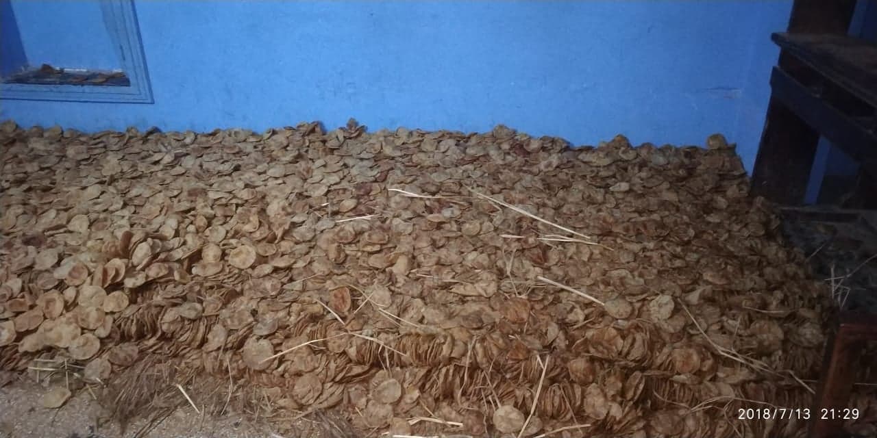 prasad of puri prepared for devotees in bulk