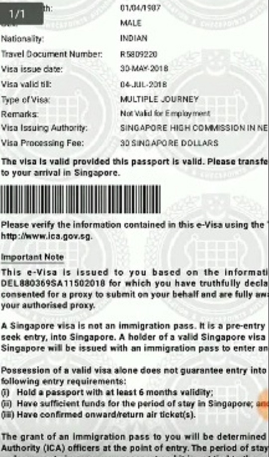 e visa singapore