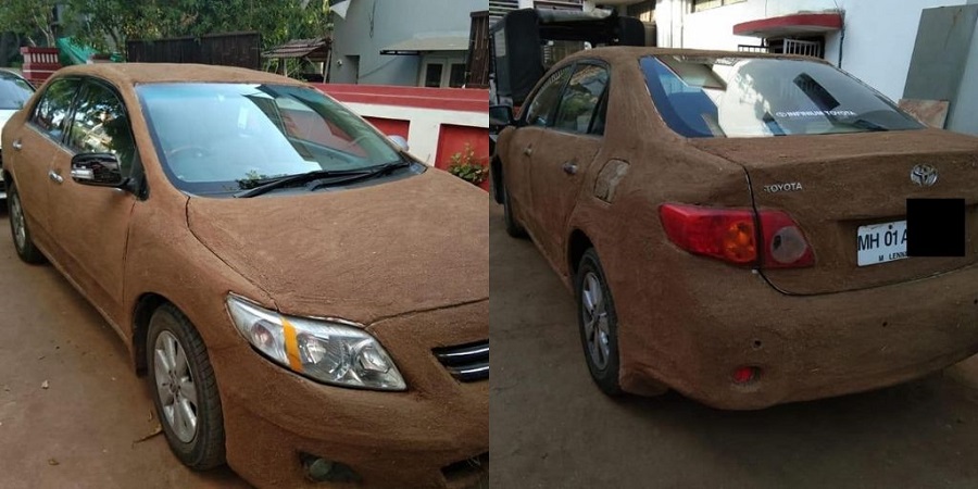 cow dung on car