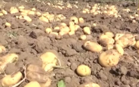 pepsico takes back cases against farmers