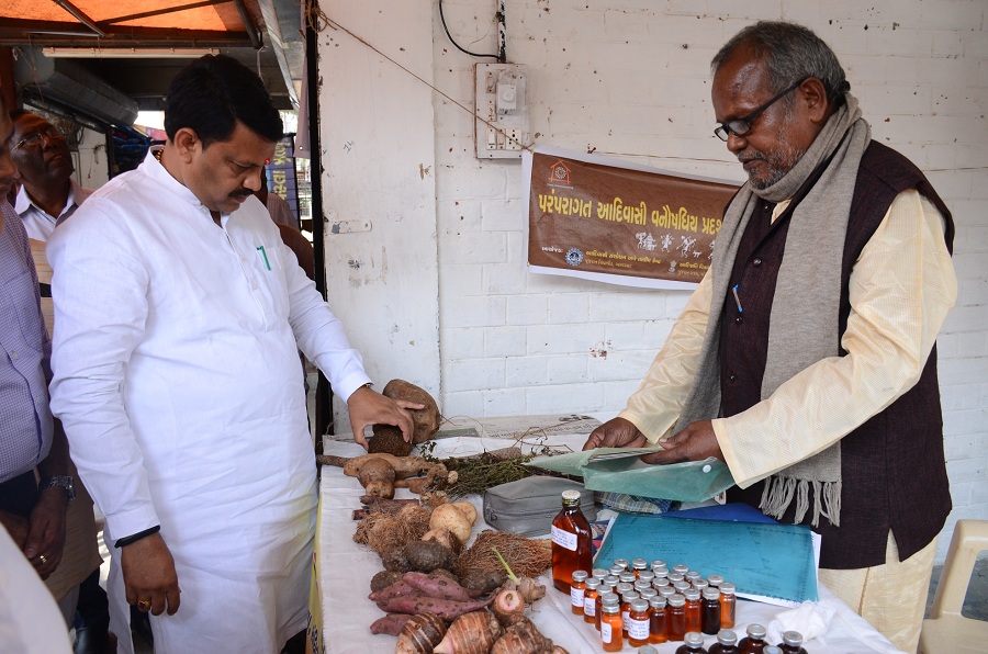 traditional herbs exhibition