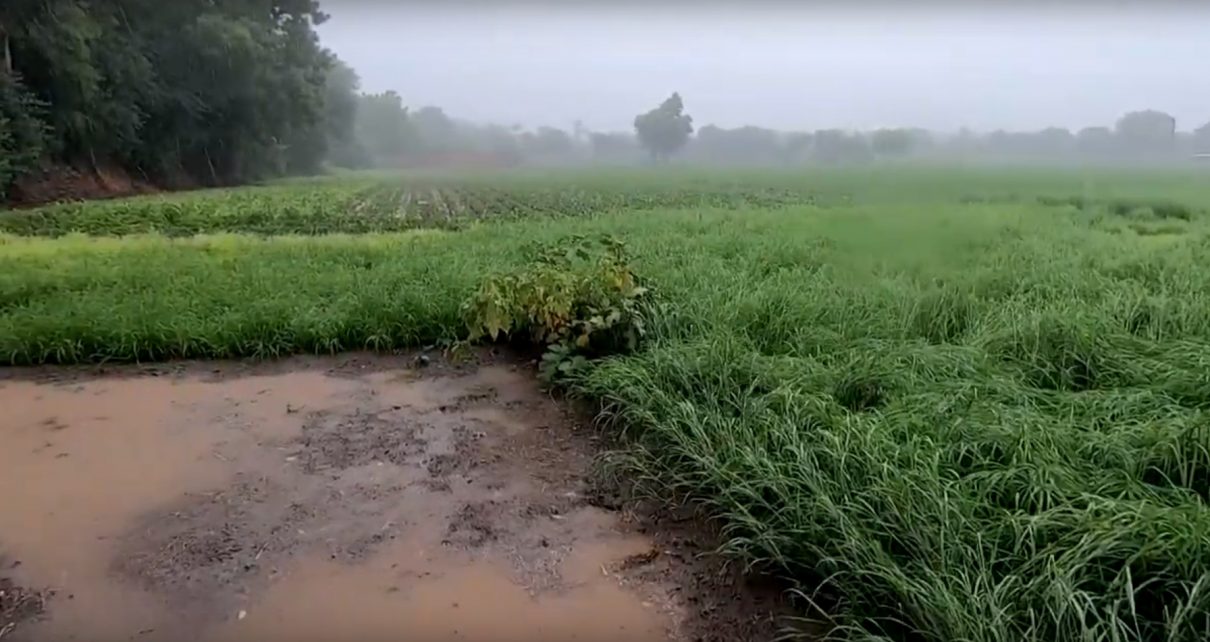 gujarat rain